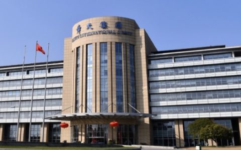 江苏舜天连续财务造假13年，虚增百亿收入被罚千万，52岁现任董事长被重罚