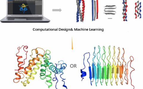 江苏吴中：首个医药领域ChatGPT应用于重组胶原蛋白开发