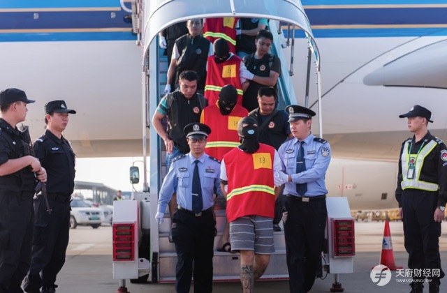 电信诈骗防骗指南：你之所以还没被骗过，因为适合你的剧本还在路上