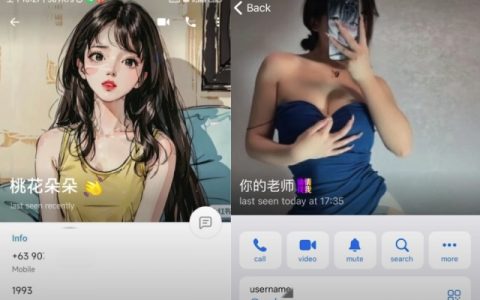 电信诈骗防骗指南：你之所以还没被骗过，因为适合你的剧本还在路上