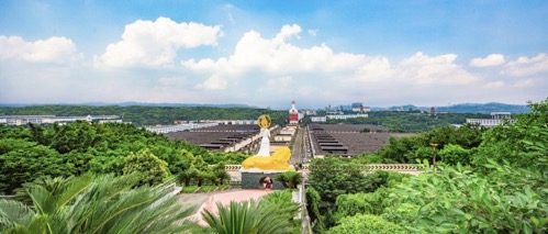 川酒甲天下，精华在宜宾丨五粮液“迎进来、走出去”两步走稳抓双节销售