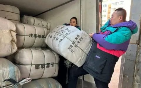 网聚暖流，情暖陇原 互联网科技企业驰援积石山爱心榜单