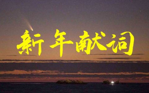 但见奔星劲有声｜中访网2024新年献词