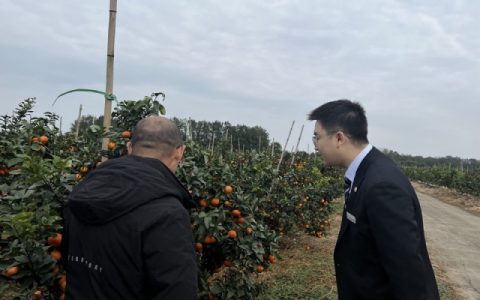 民泰银行新津支行：为水果种植行业施上“金融底肥”