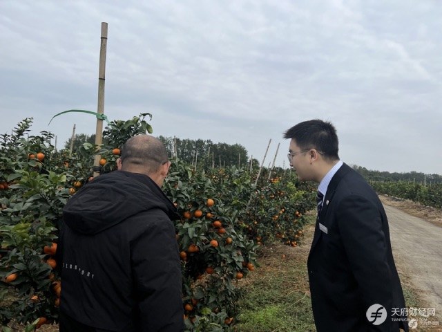 民泰银行新津支行：为水果种植行业施上“金融底肥”