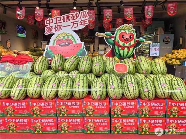 中卫硒砂瓜城市推介会在成都市成功举行