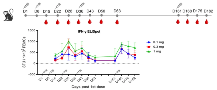 mRNA资产价值重估 云顶新耀AI+mRNA创新药布局：拐点已至