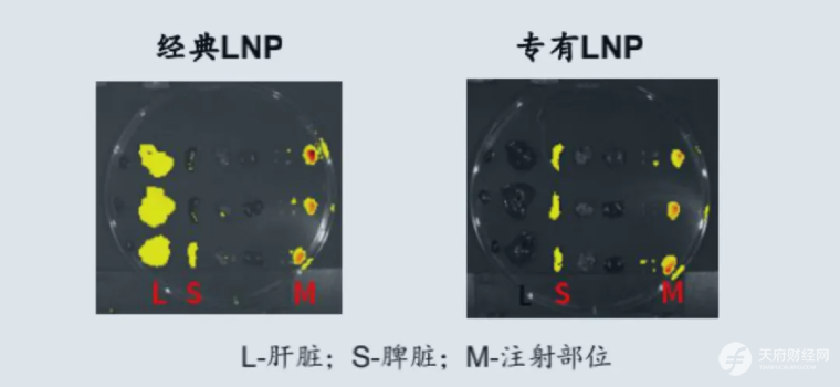 mRNA资产价值重估 云顶新耀AI+mRNA创新药布局：拐点已至