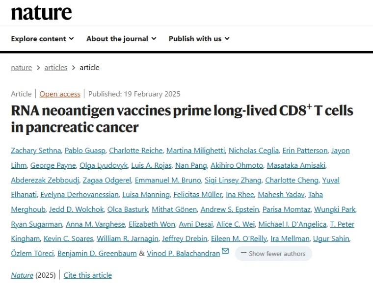 云顶新耀肿瘤疫苗EVM16取得里程碑进展 《Nature》重磅研究揭示个性化mRNA疫苗显著延长胰腺癌患者无复发生存期