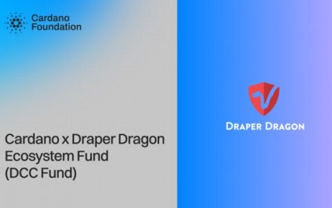 推动全球应用规模化：Cardano与Draper Dragon携手设立8000万美元战略基金