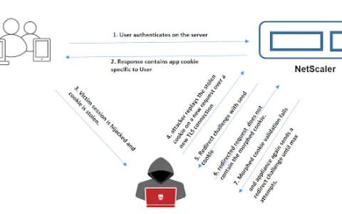 数字货币安全：如何预防剪贴板劫持？10万美元损失案例深度复盘