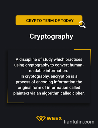 2026 币圈黑话大全：50 组区块链术语、Web3 俚语与社区热梗百科
