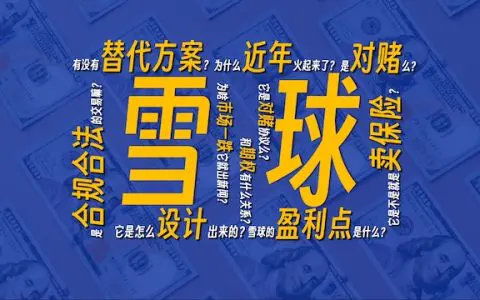 雪球产品