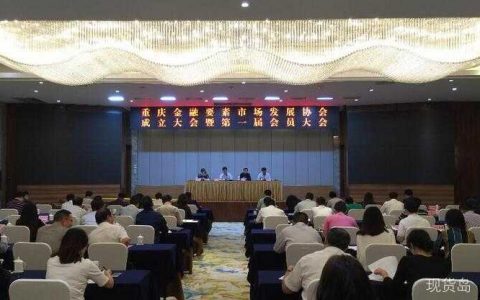 重庆金融要素市场发展协会正式成立