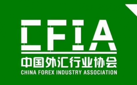 腾空而降的中国外汇行业协会 民心所向还是闹剧？